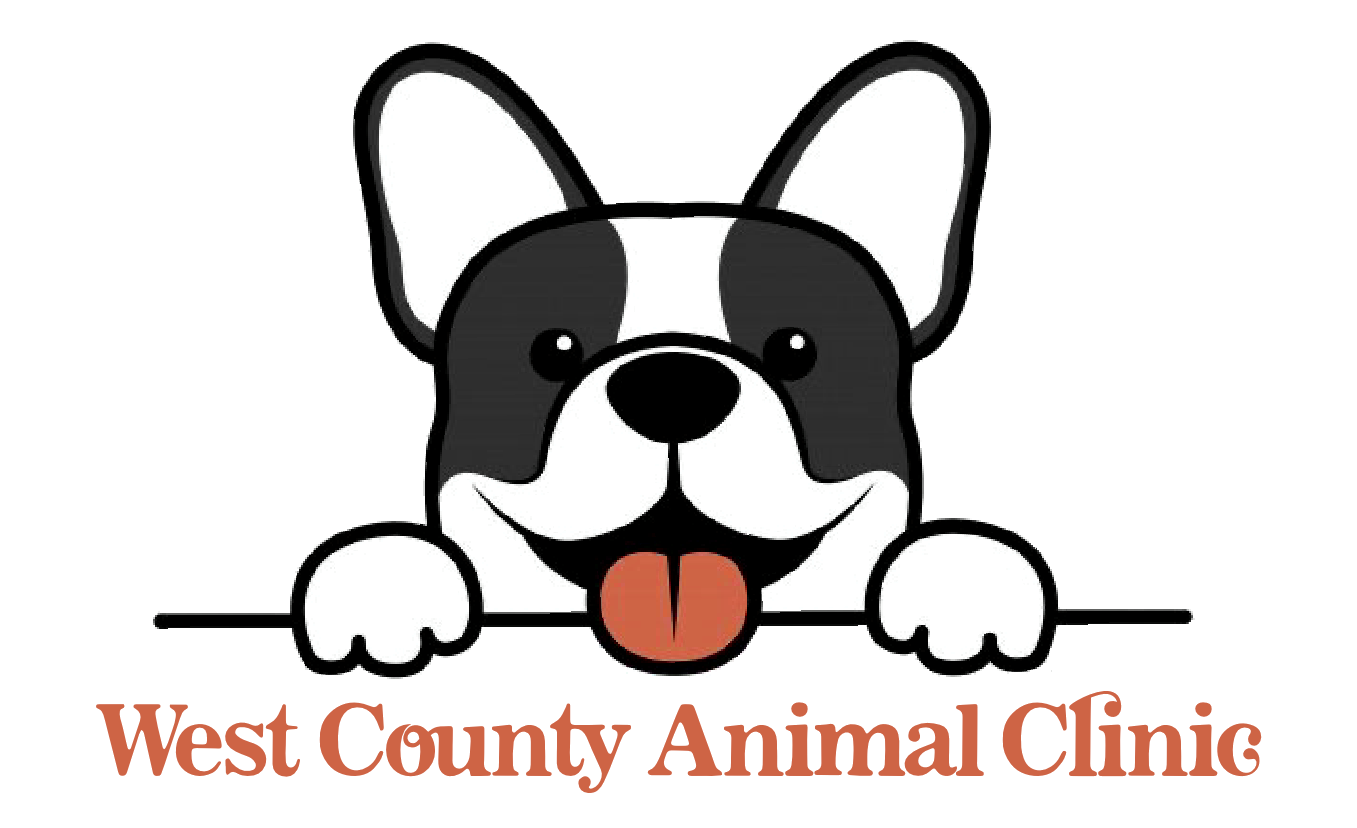 County shop pet clinic